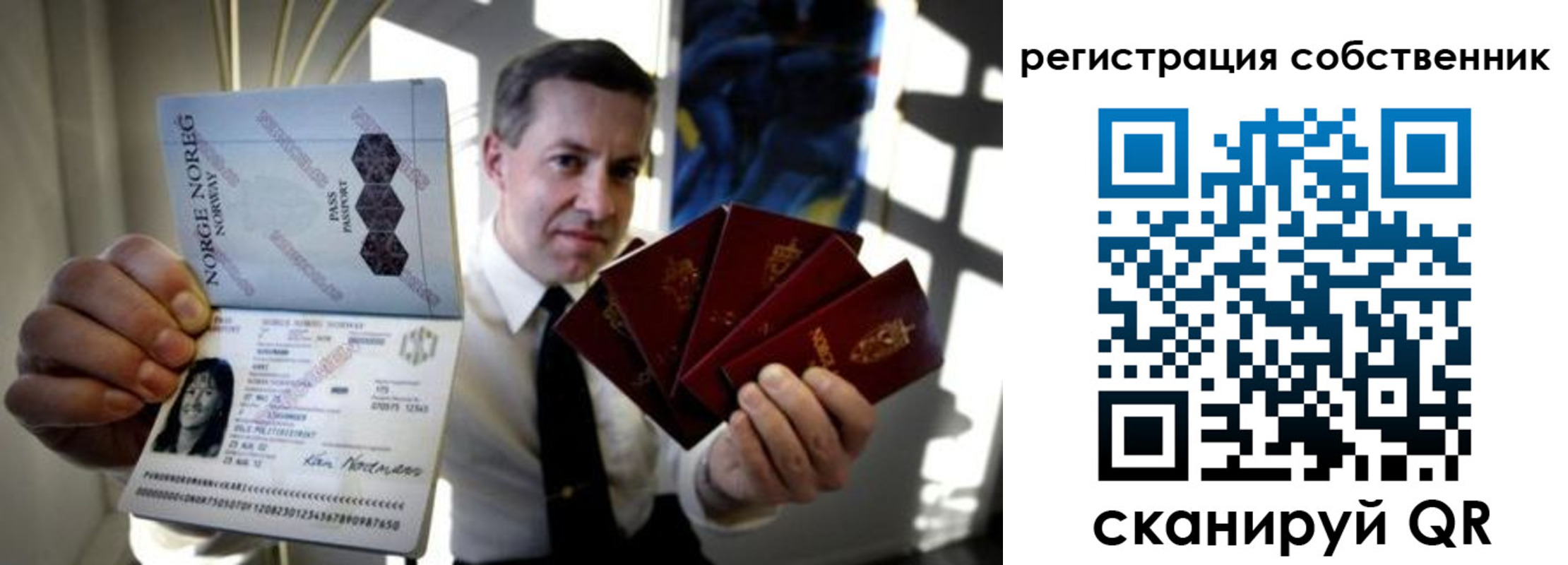 прописка поиск в Павловске