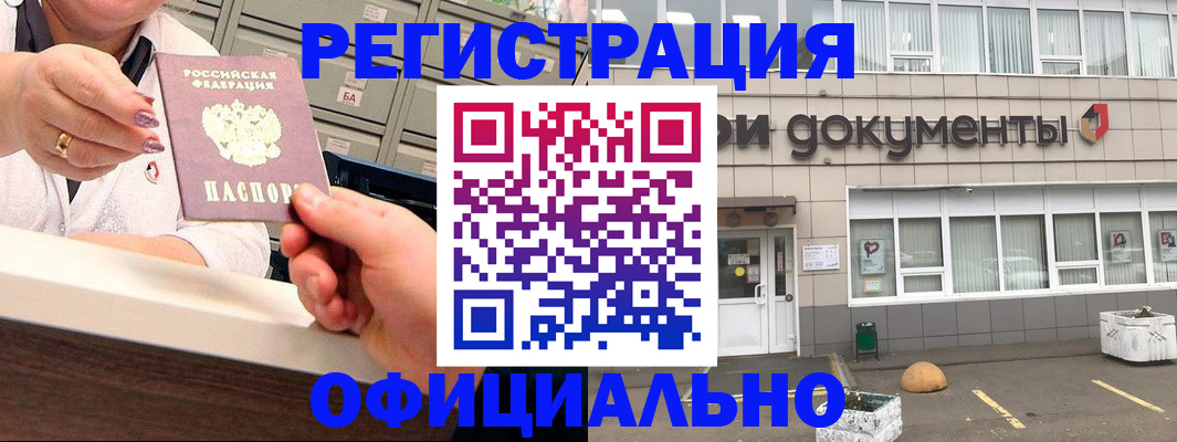 временная регистрация гарантия в Павловске
